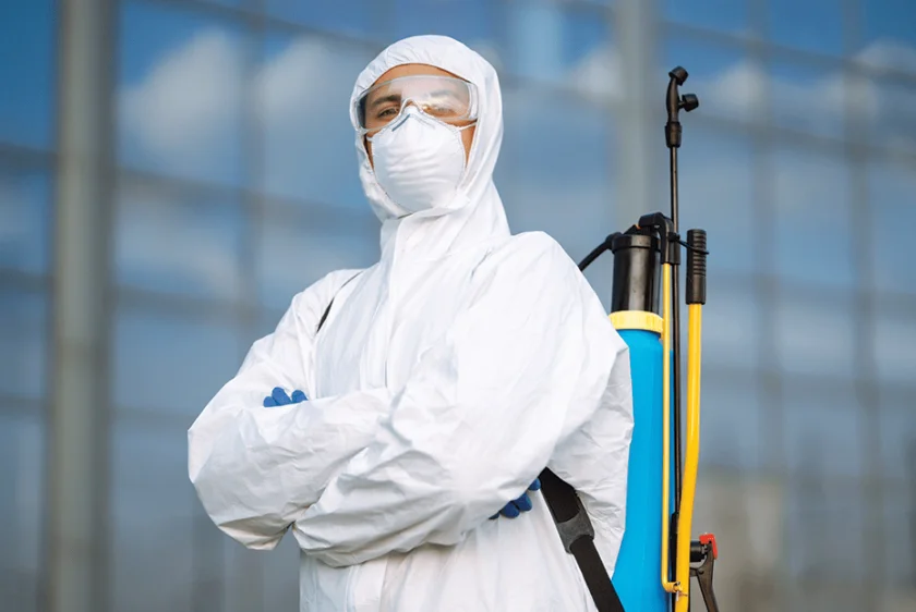 Why Professional Pest Control Is Better Than DIY Methods