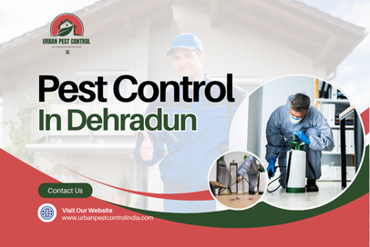 Pest Control in Dehradun